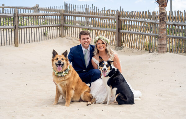 Amanda & Bryan at The Sea Shell Resort & Beach Club