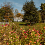 The wedding of Wildflower Elegance, Apple Cider Donuts & an Espresso Martini Moment at Johnson’s Locust Hall Farm A rustic wedding at Johnson's Locust Hall Farm in NJ. Gallery 1
