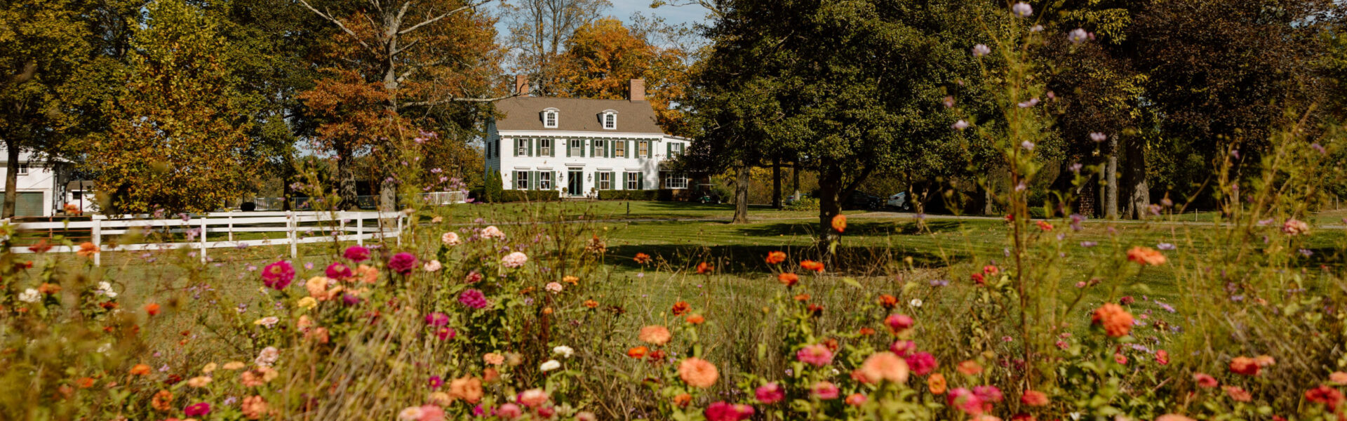 Wildflowers, Apple Cider Donuts & an Espresso Martini Moment at Johnson’s Locust Hall Farm