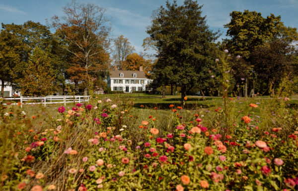 Wildflowers, Apple Cider Donuts & an Espresso Martini Moment at Johnson’s Locust Hall Farm
