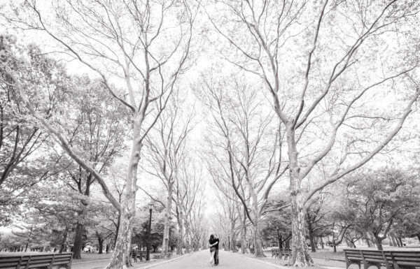 With Love, By Carousso Gallery 2