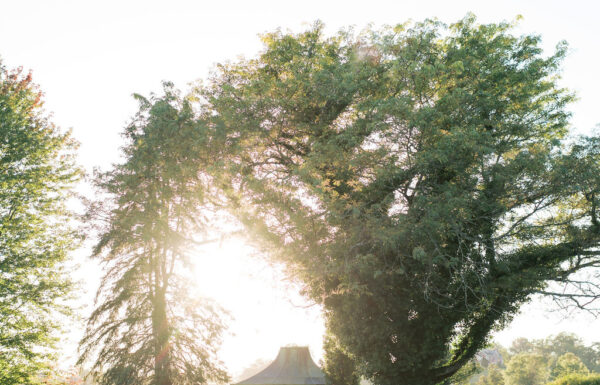 A wedding at Hamilton Farm Golf Club in NJ.