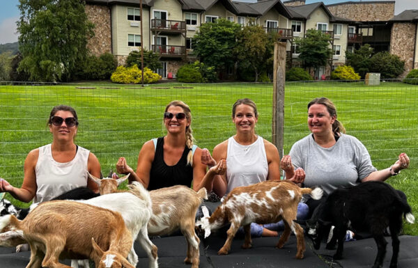 Minerals Hotel Gallery 10