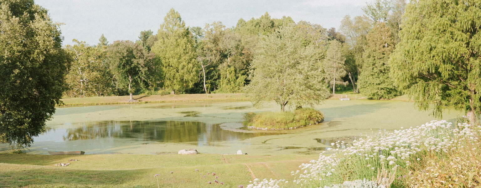 They Booked an Airbnb, Added a Pizza Truck & Pickleball Tournament, And Had the Best Backyard Wedding Weekend