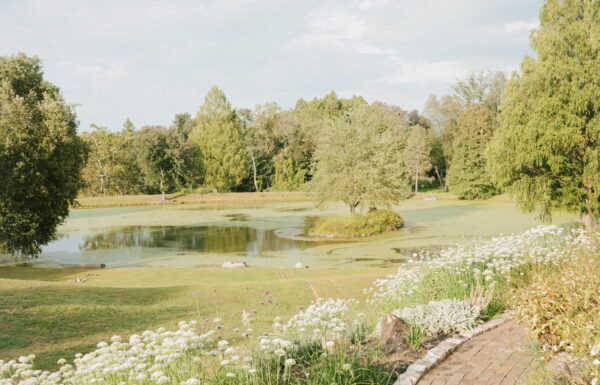 They Booked an Airbnb, Added a Pizza Truck & Pickleball Tournament, And Had the Best Backyard Wedding Weekend