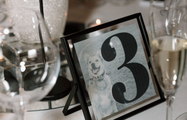 Their Puppies Walked Down the Aisle at This Moody, Speakeasy-Inspired Logan Inn Wedding