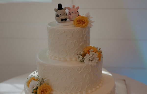 A wedding at the Inn at Millrace Pond.
