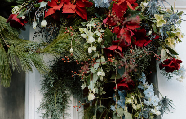 Kristy Hoadley Photography