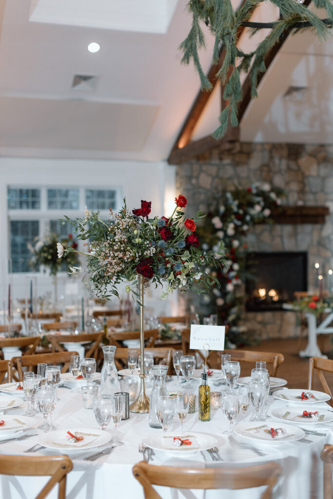 Kristy Hoadley Photography