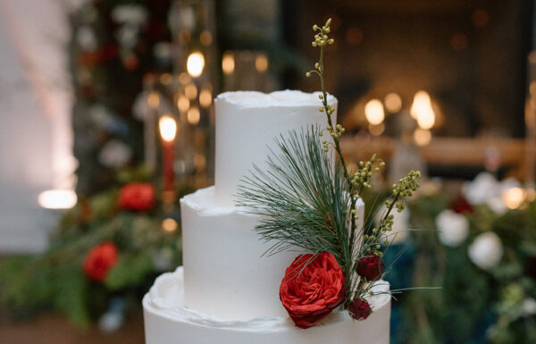 A Christmas wedding at Inn at Millrace Pond in Hope NJ.