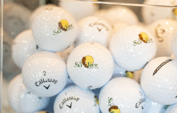 Two Competitive Runners, One Chance Meeting & a Perfect June Wedding at SkyView Golf Club