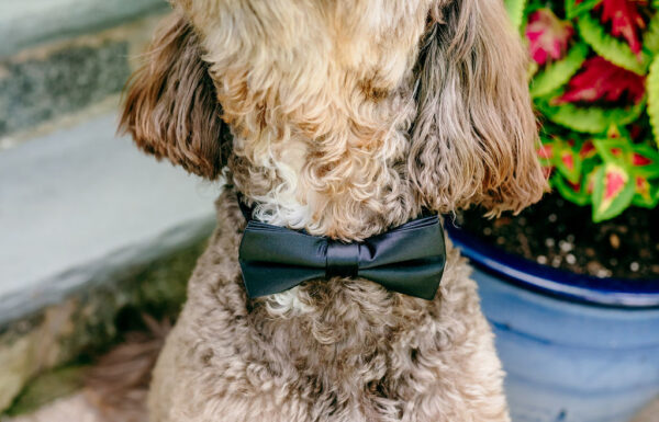 She Skipped the Veil and Wore Her Late Grandmother’s Pearls at This Classic Summer Wedding at Baltusrol Golf Club