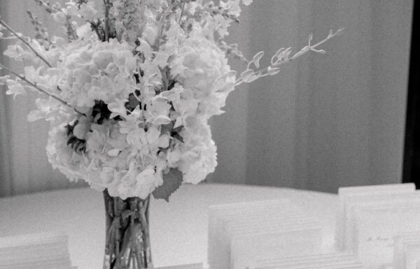 A Polaroid Guestbook & Mountain Views at Crystal Springs’ Big Sky Pavilion