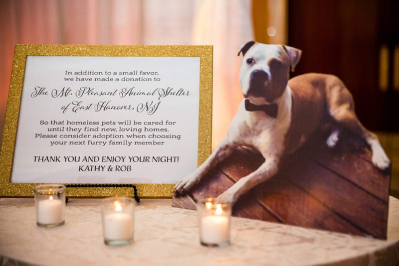 6 Fun Ways to Include Your Dog on Your Wedding Day