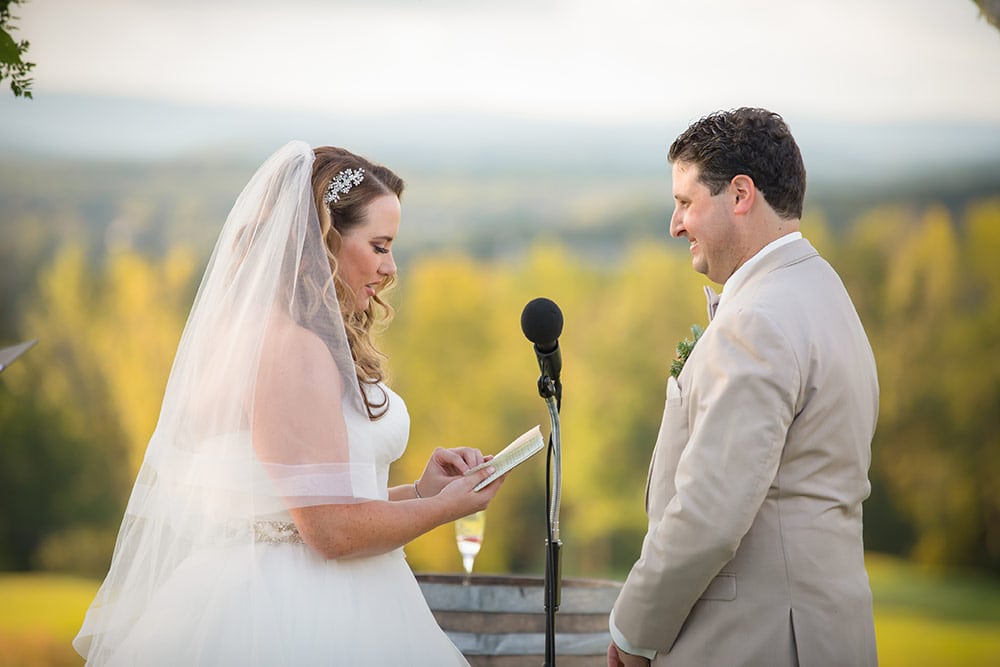 Briana-Steven-SkyView