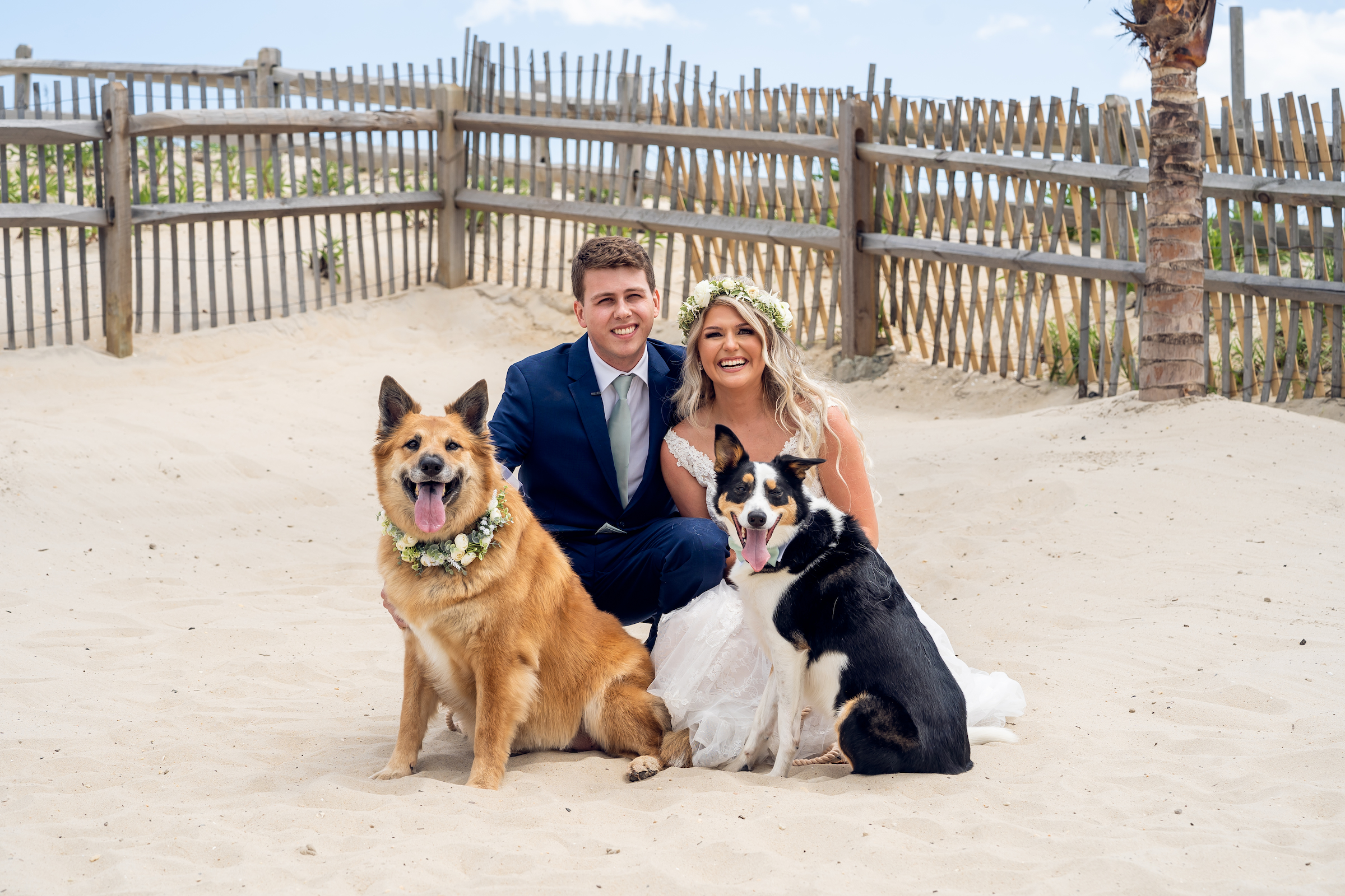 The couple and their two dogs on the beach at their Sea Shell Resort and Beach Club wedding.