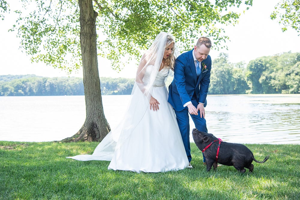 new jersey bride