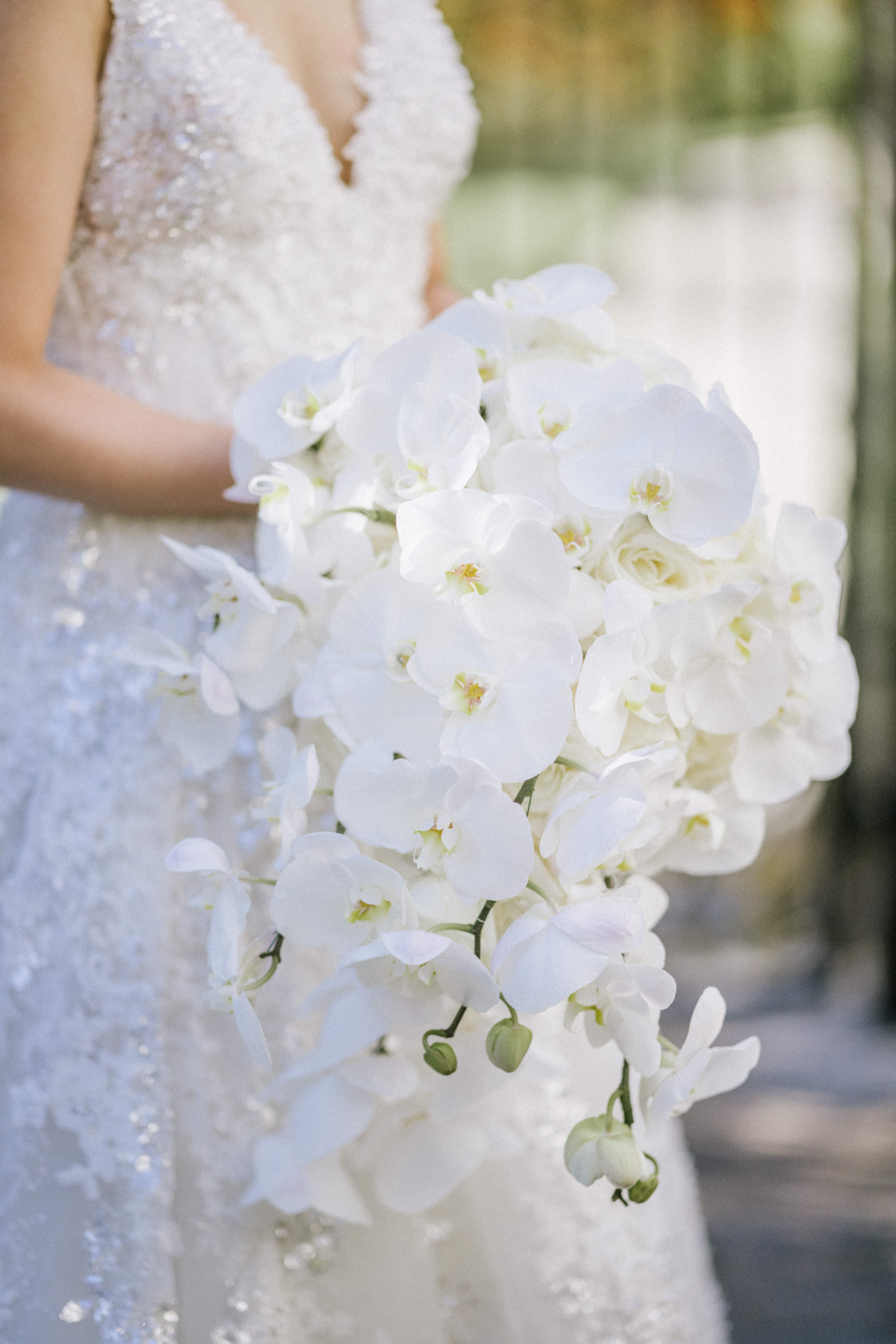 new jersey bride