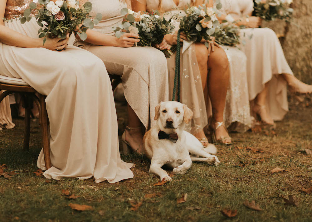 new jersey bride