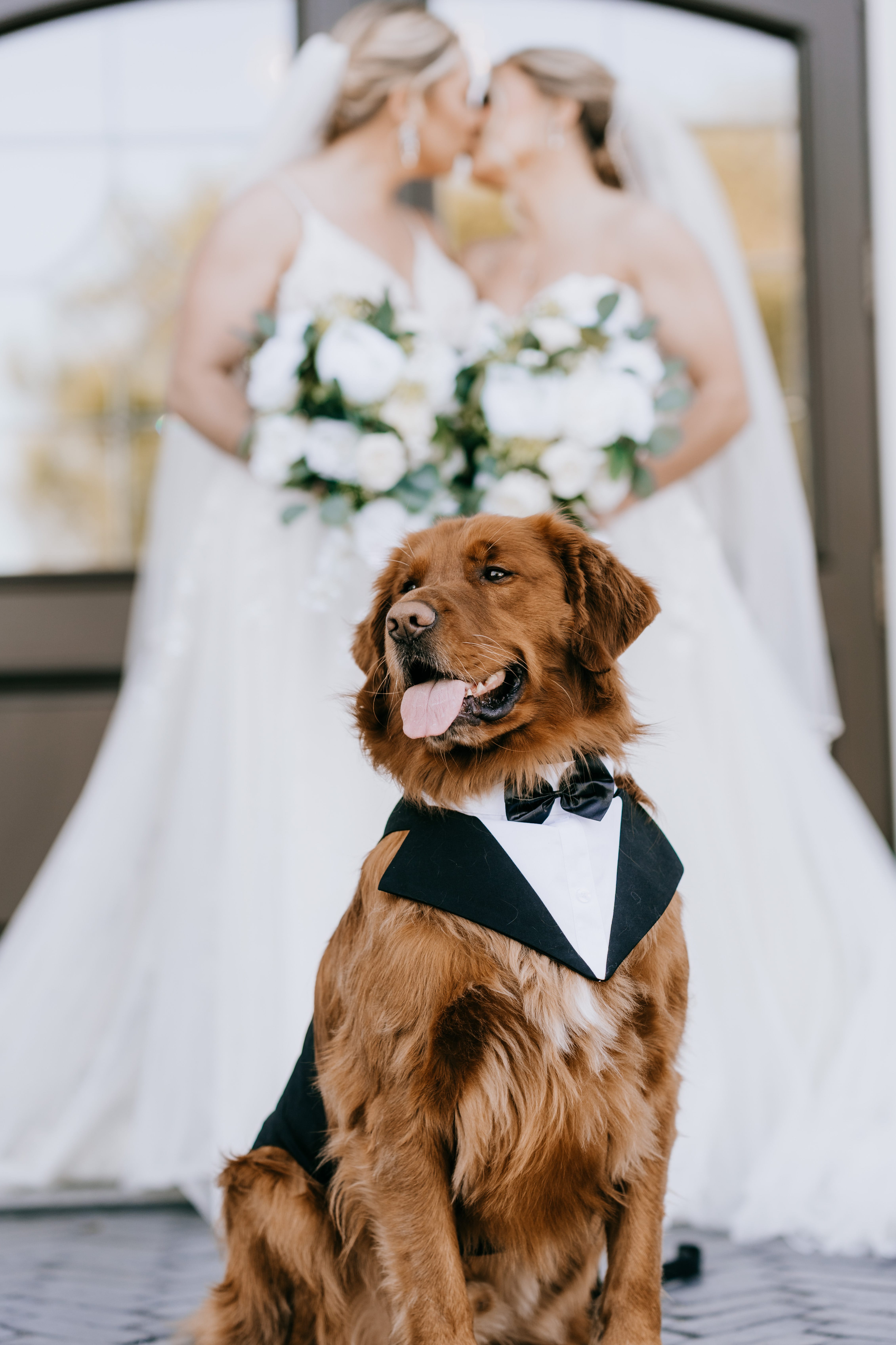 new jersey bride