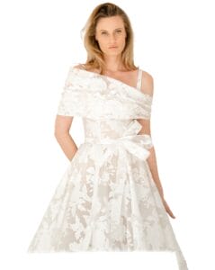mira zwillinger gown