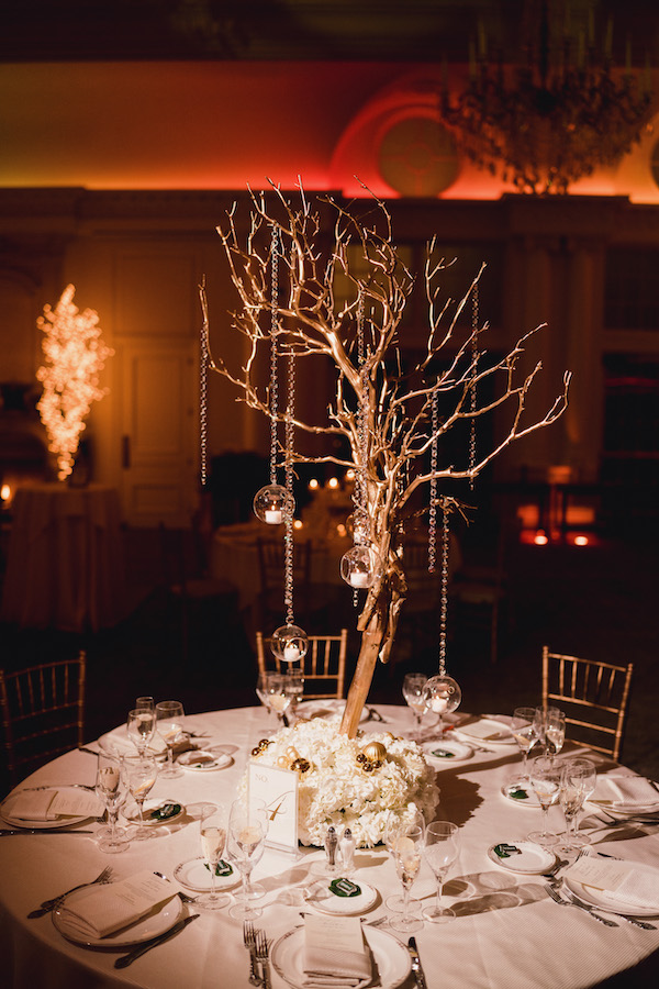 Stefanie-Matthew-Park-Chateau