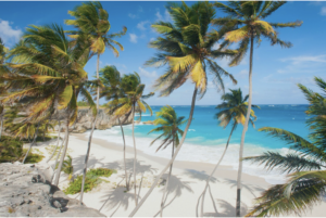 Barbados-honeymoon