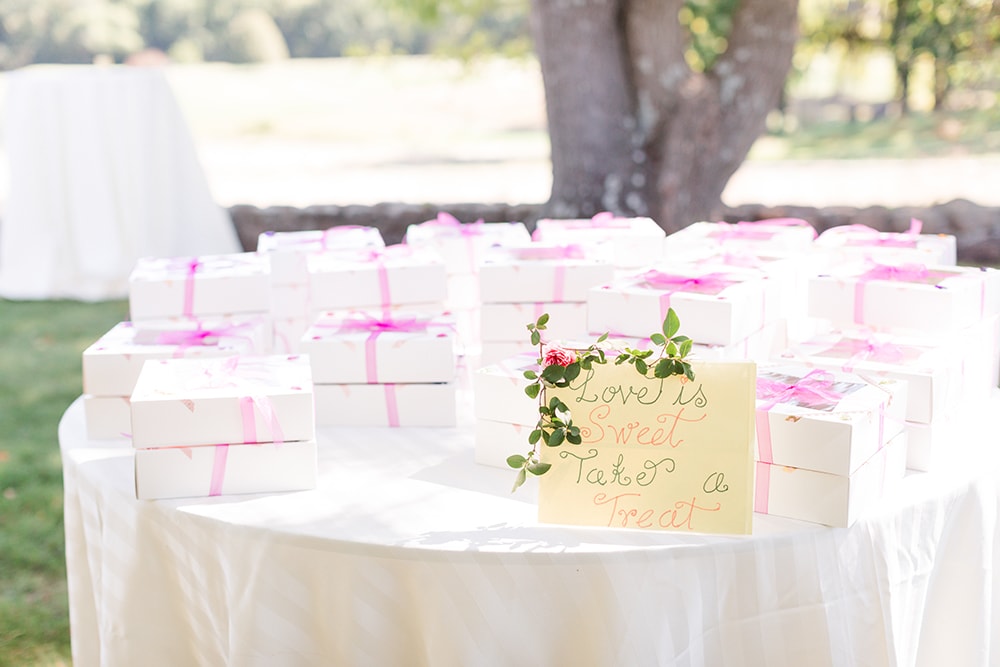 Meghna and Carlo at Paramount Country Club