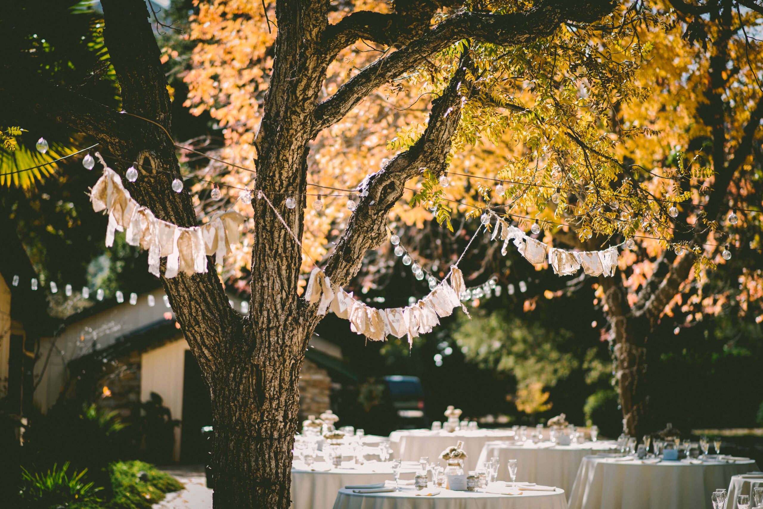 A backyard wedding.