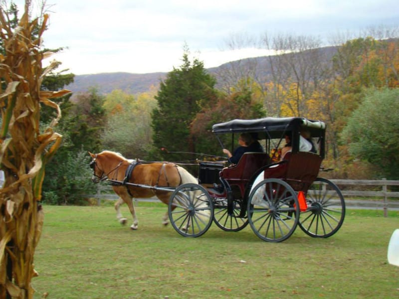 New Jersey Bride At Home Fall Wedding Horse and Carriage