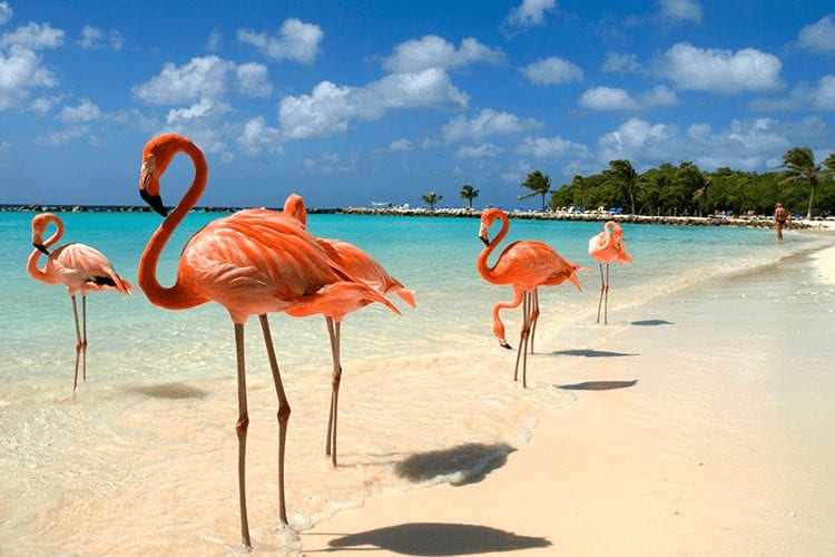 Aruba-honeymoon