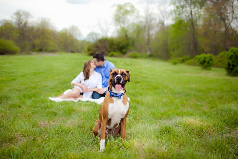 New JErsey Bride Jenn and Brent's Engagement Session