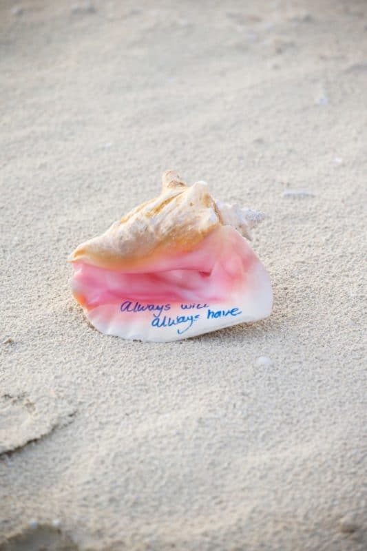 Seashell from beach proposal 