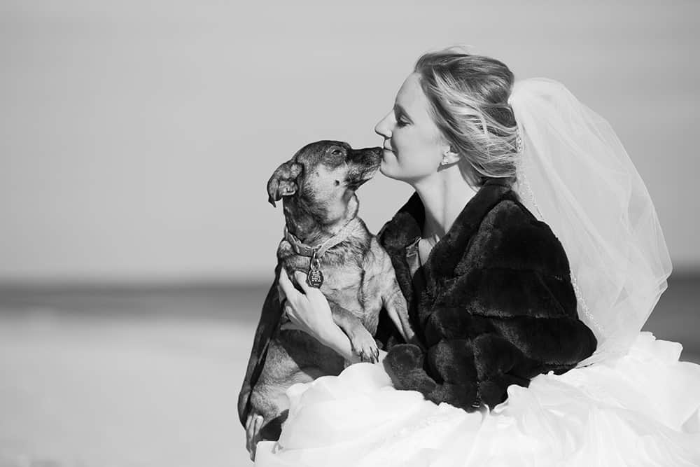 new jersey bride