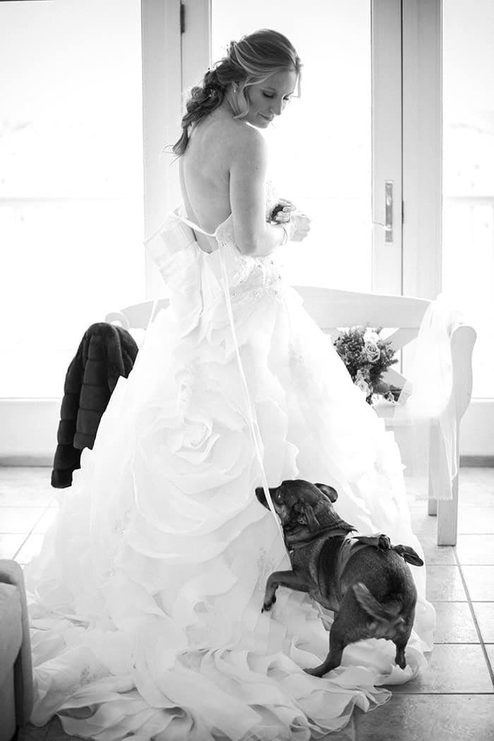 new jersey bride