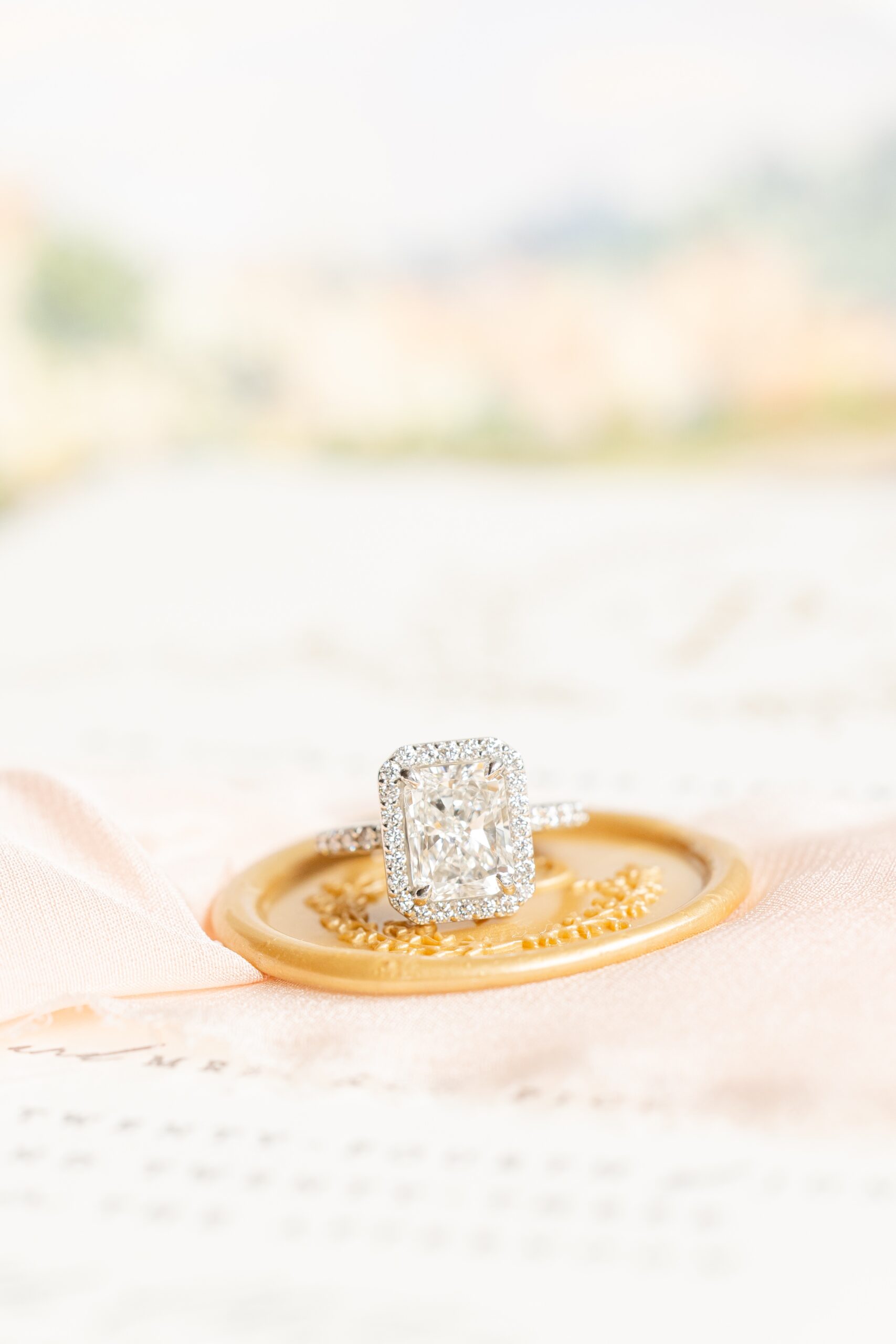 new jersey bride