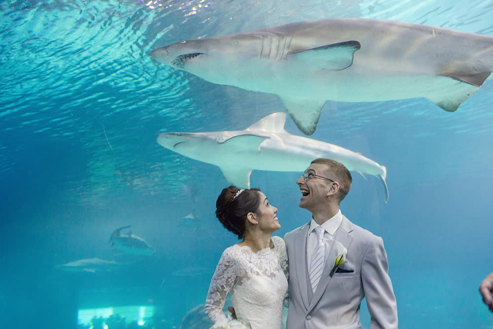 Adventure-aquarium-wedding