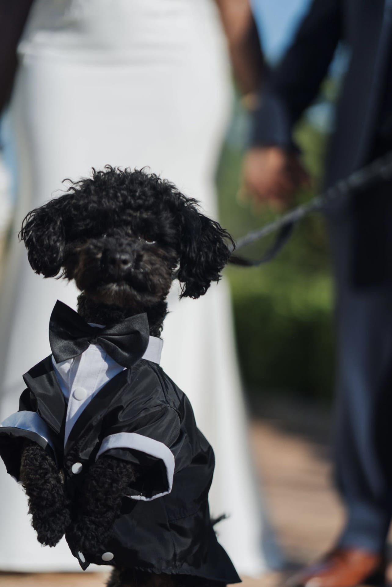 A Park Savoy wedding.