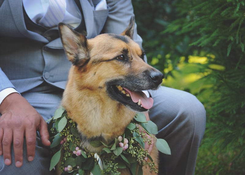 A Secret Garden Wedding at HollyHedge Estate, Pennsylvania - New Jersey Bride