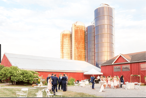 Stone-Rows-Farm-Rustic-Nj-Wedding